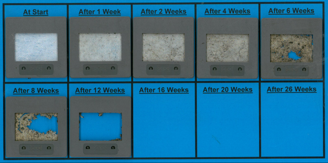 Results of a preliminary disintegration test in a home composting environment (28 degrees Celsius)