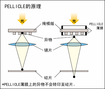 PELLICLE的原理